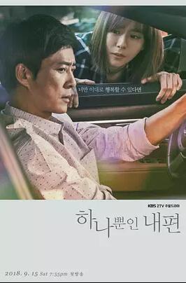 하나뿐인 내편