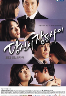 While You Were Sleeping (2011)